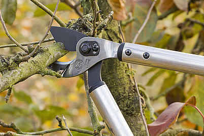 Löwe 22.050 Amboss-Astsschere mit gebogener Klinge, Länge 50cm