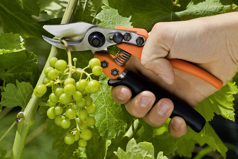 Löwe 12.109 kleine Bypass-Schere mit sehr geringem Gewicht, mit Rollgriff